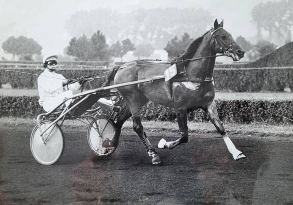 AAu trot, pas de problème de poids. Je pouvais donc participer à des courses d'amateurs, officielles, codifiées, avec prise de paris. Je n'ai jamais réussi à en gagner une... mais j'ai été souvent deuxième, comme ici sur l'hippodrome du Croisé-Laroche (Lille) dans les années 80.